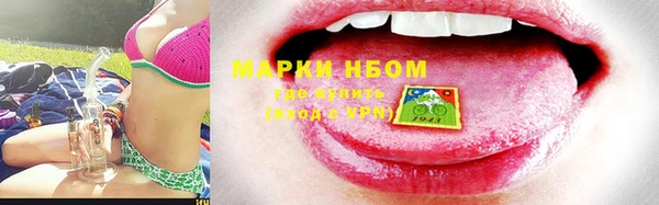 шишки Каменка