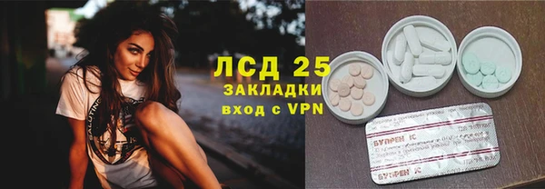 шишки Каменка