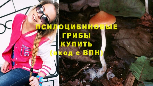 шишки Каменка