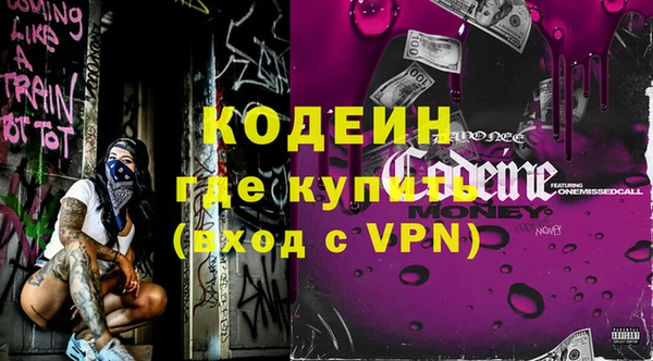 шишки Каменка