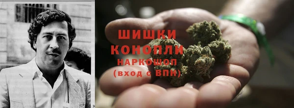 ECSTASY Каменногорск