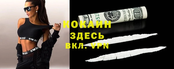 шишки Каменка