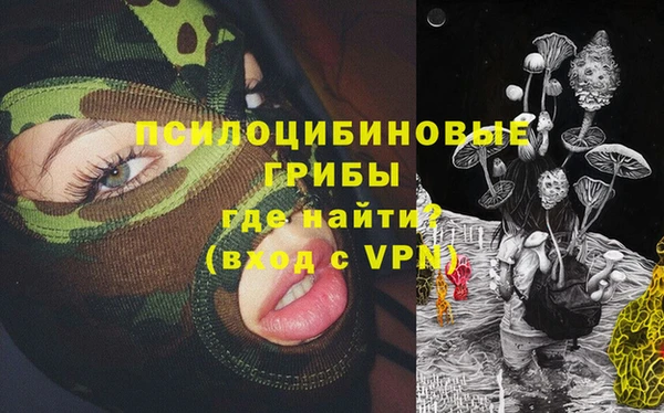 ECSTASY Каменногорск