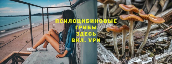 шишки Каменка