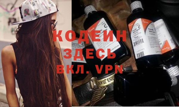 шишки Каменка