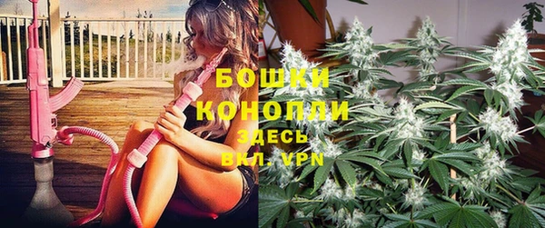 шишки Каменка