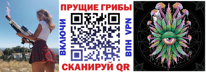 Купить закладки  Заполярный  Галлюциногенные грибы Psilocybe 